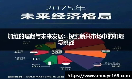 加维的崛起与未来发展：探索新兴市场中的机遇与挑战